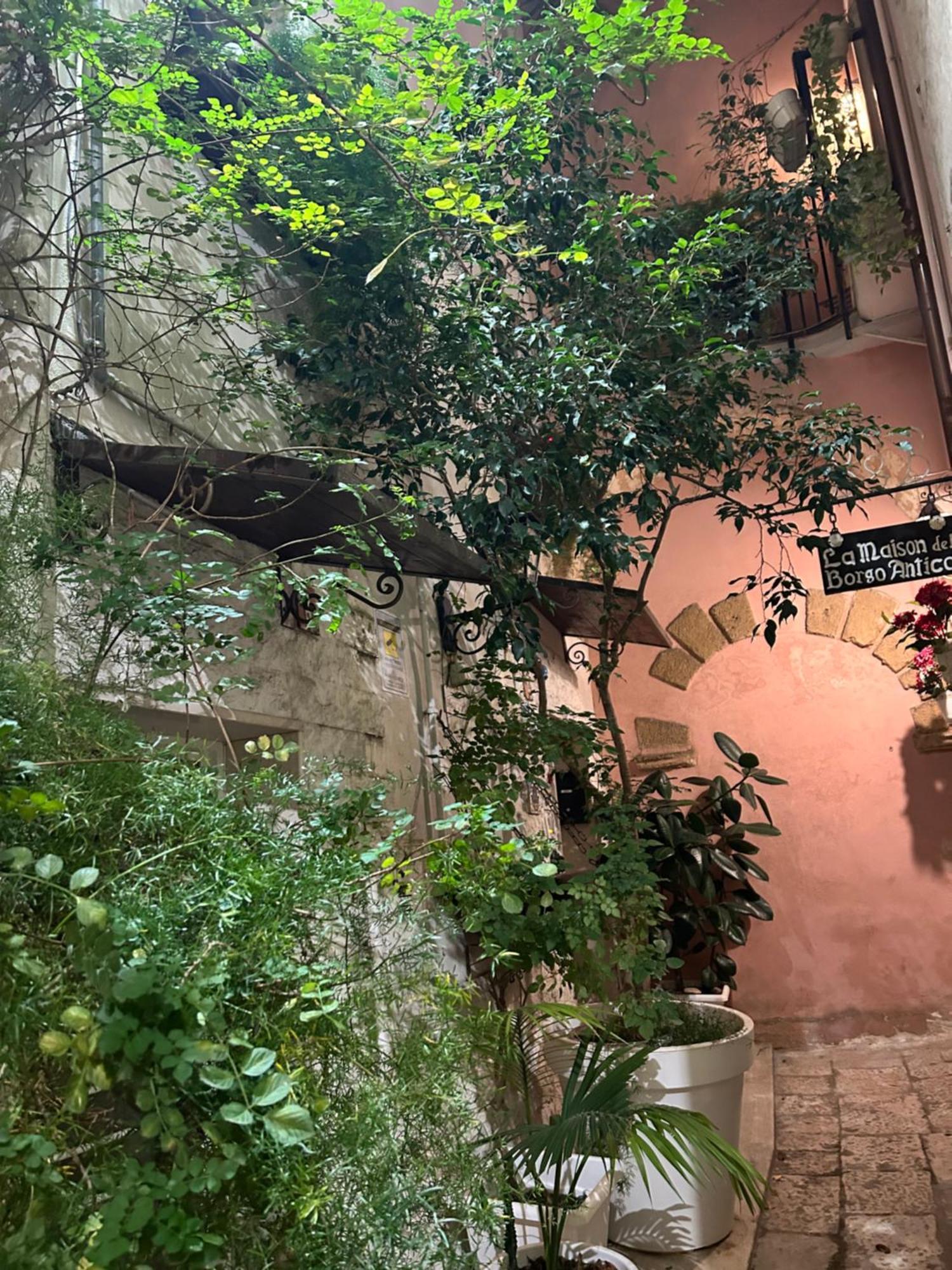 B&B Bari Vecchia R Exteriör bild
