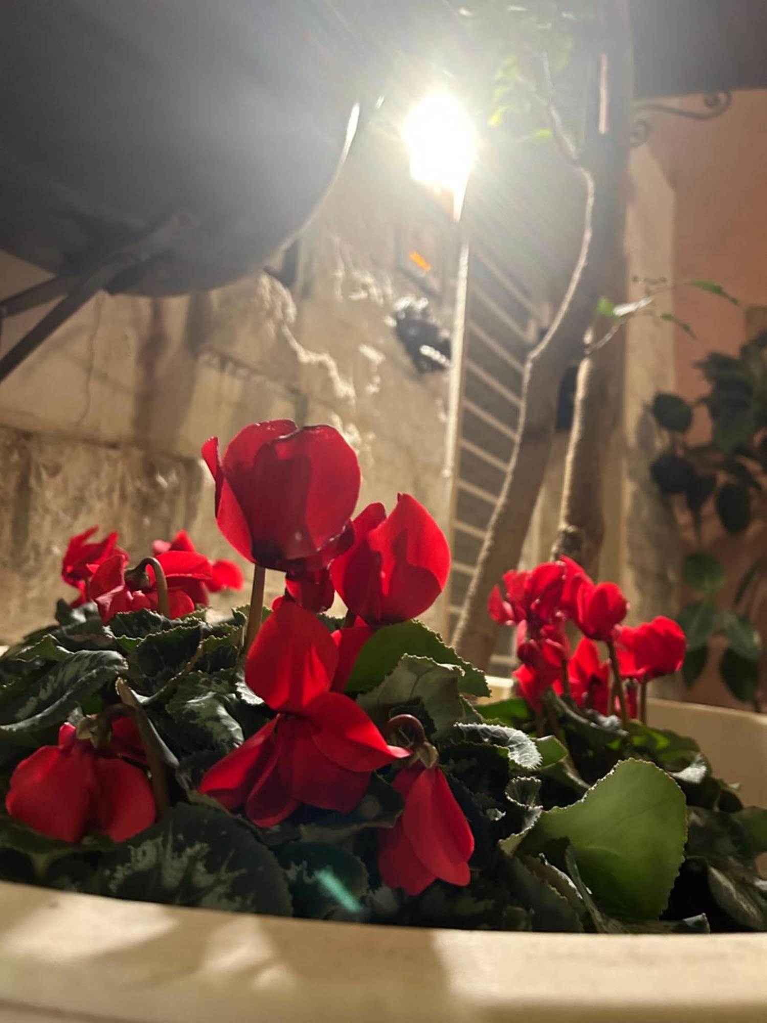 B&B Bari Vecchia R Exteriör bild